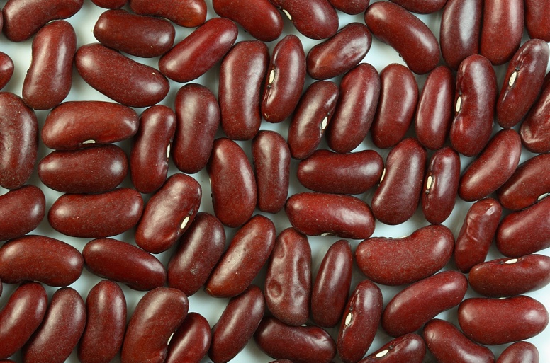 red kidney beans English type